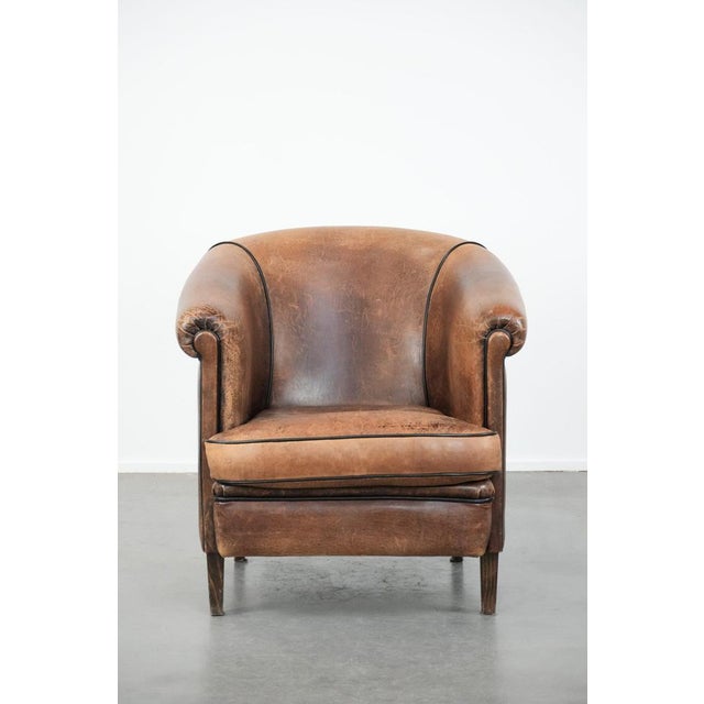This gorgeous sheepskin club armchair fits easily into almost any interior and has a beautiful vintage look. It's perfect...
