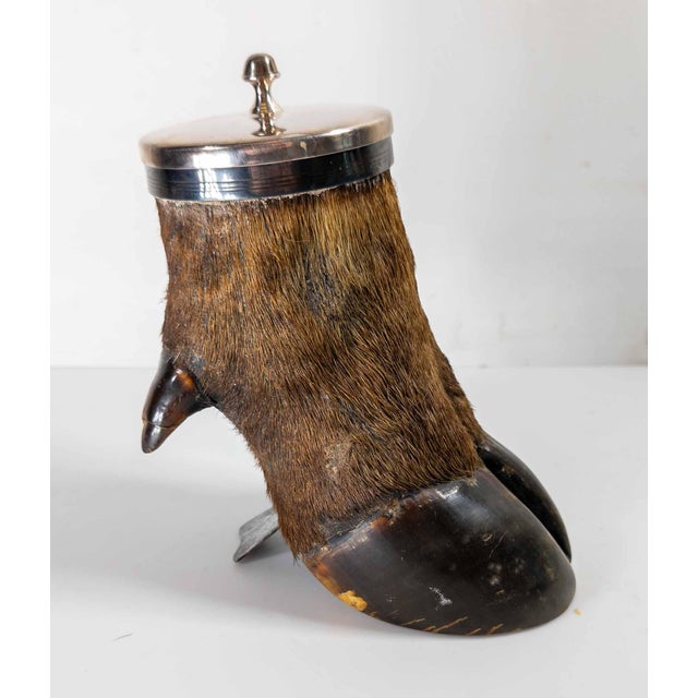Victorian 19th Century Victorian Taxidermy Moose Hoof Knuckle Box or Ashtray For Sale - Image 3 of 10