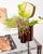 Tall Amber Splash Vase by Mana For Sale - Image 14 of 17