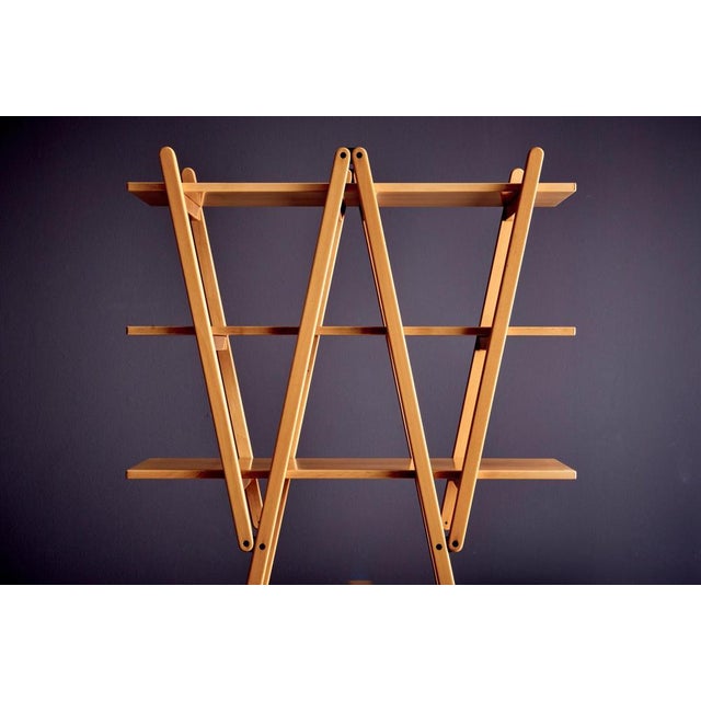 Brown Red Cloud Bookshelf attributed to Vico Magistretti for Cassina, 1970s For Sale - Image 8 of 10