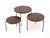Very beautifully made set of 3 nesting tables. The round shape is striking, the rosewood veneer on the tops gives a...