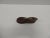 Antique Child's Wooden Shoe Mold Paperweight. Size: 6"W x 2.25"D x 3"H
