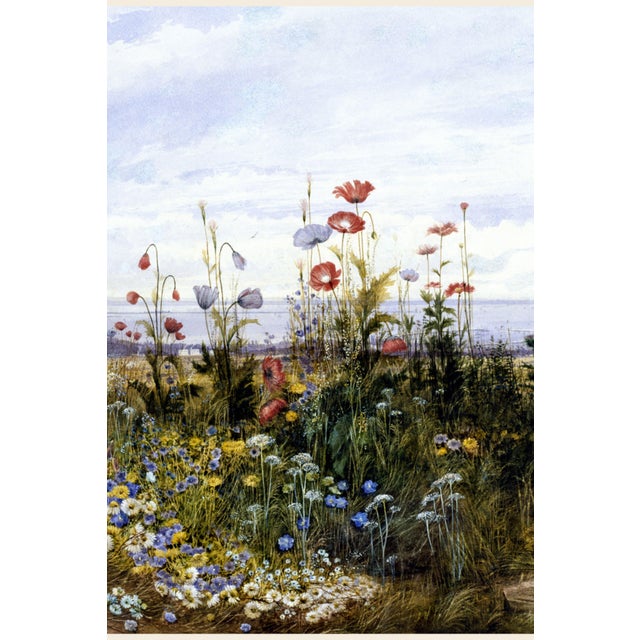 Not Yet Made - Made To Order 1830s Vintage Wildflower Coastal Landscape Art Print by Andrew Nicholl - 12" X 8" For Sale - Image 5 of 8