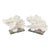 Contemporary Coastal Decorative Ocean Reef Faux Coral Objects- Set of 2 For Sale