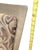 Pair of Contemporary Upholstered Counter/Bar Stools by Johnston Casuals, Bronze Tone Metal For Sale - Image 9 of 14
