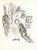 Artist: Marc Chagall Country: Russia Title: Sketch 4 Medium: Lithograph not signed, not numbered Printed: by Mourlot,...