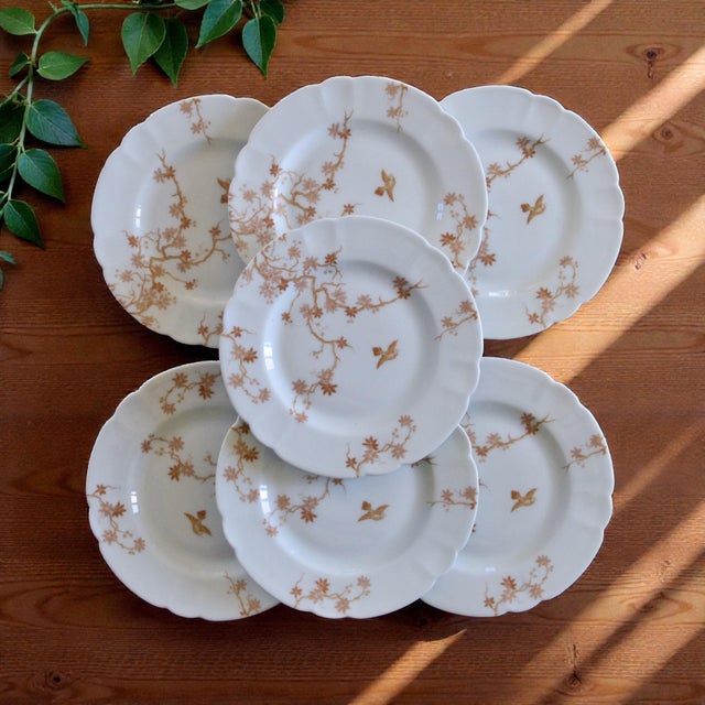 Ceramic Antique Limoges Porcelain Dessert Plates with Bird Decoration from Charles Haviland, 1930s, Set of 7 For Sale - Image 7 of 7