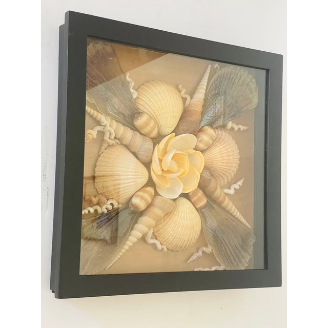 Unique Palm Beach sea shell floral arrangement all natural sea shells.