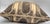 Fornasetti Style Architectural Monkey Silk Throw Pillow, Down Filled For Sale In West Palm - Image 6 of 7