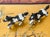 Lovely detailed vintage pair of horse figurines nes salt and pepper shakers.