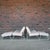 Mid-Century Modern Very Rare Salterini Pair of Lounge Chairs and Ottomans For Sale - Image 3 of 12