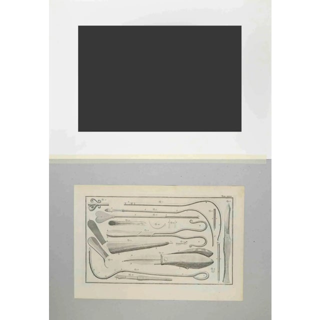 Human anatomy from the suite institutiones chirurgicae by lorenz heister. Amsterdam, janssonius-waesberg, 1750. Etching on...