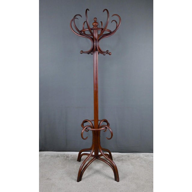 Large Early 20th Century Parrot Coat Rack in Bent Beechwood in the style of Thonet For Sale - Image 4 of 18