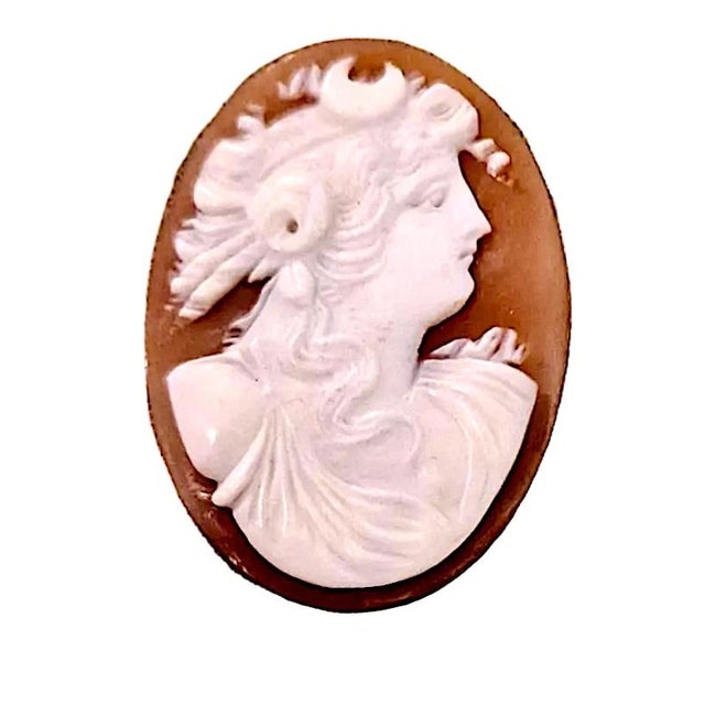Group of 3 High Relief Cameos Carved from Bullmouth shell Large: 3.5mm x 4.5mm. Medium: 3.4mm x 3.4 x 2.6 Small: 8mm x 2.5mm