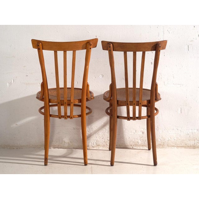 Wood Chairs in Bentwood, Central Europe, 1930, Set of 2 For Sale - Image 7 of 13