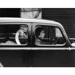 Swan in a Car' Contemporary Archival Black and White Photograph Print From the Original Negative by Getty - 16x12 For Sale