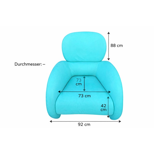 DS 59 Lounge Chairs from de Sede, 1970s, Set of 2 For Sale - Image 15 of 16