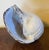 Mid 20th Century Art Pottery Sea Shell - Model of the Pacific Tun Seashell or Tonna Olearium For Sale - Image 13 of 13