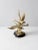 Mid 20th Century Vintage Figural Brass Birds Sculpture For Sale - Image 5 of 13