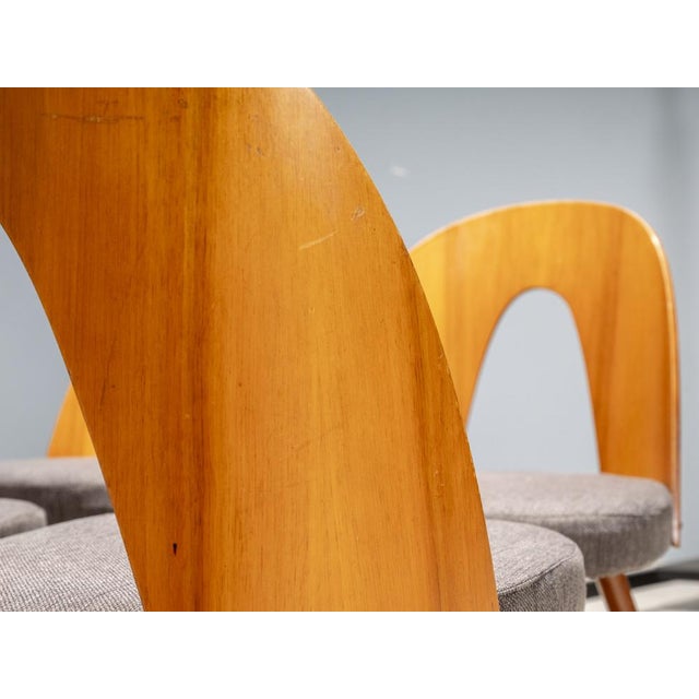 Dining Chairs by Antonín Šuman for Tatra Furniture, Czechoslovakia, 1960s, Set of 4 For Sale - Image 10 of 11