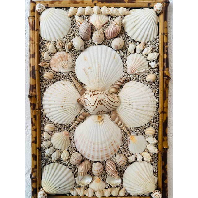 Antique Cane and Bamboo Panel With Shells For Sale - Image 4 of 8