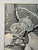 Original graphite pencil drawing by American artist and illustrator Theodore E. Schrock (1879–1952), depicting a bobcat...