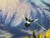2010s Chuck Black "Routine Visitors" Mountain Wildlife Artwork For Sale - Image 5 of 12