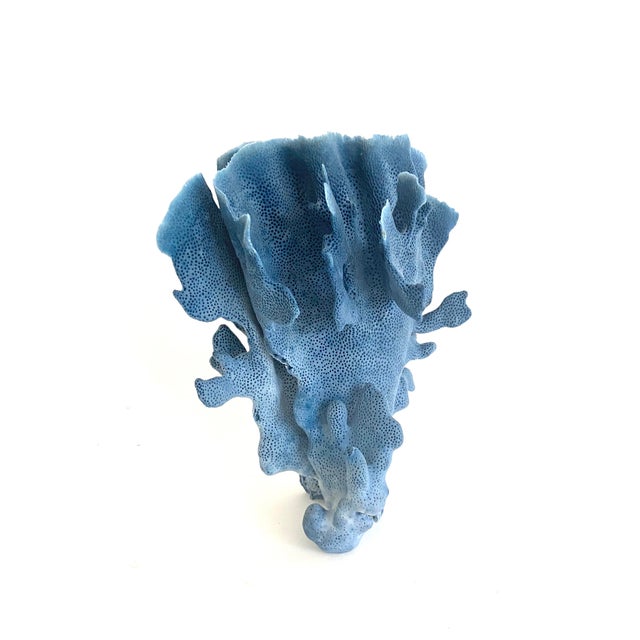 Chinoiserie Natural Blue Coral Specimen Coastal Decor For Sale - Image 3 of 7