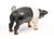 Mid 20th Century Mid 20th Century Monumental Metal Pig Sculpture For Sale - Image 5 of 5