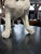 Antique French Bulldog Sculpture | Early 20th Century Plaster & Metal Figure, Circa 1910–1920 For Sale - Image 11 of 12