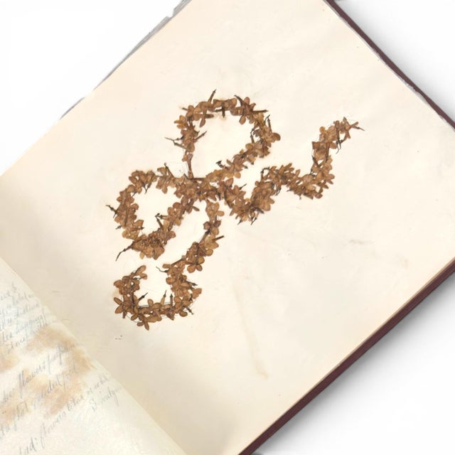 c.1900 Herbarium Album With 26 Specimens, Hand-Drawn Studies & Calligraphic Manuscript For Sale In Columbus - Image 6 of 12
