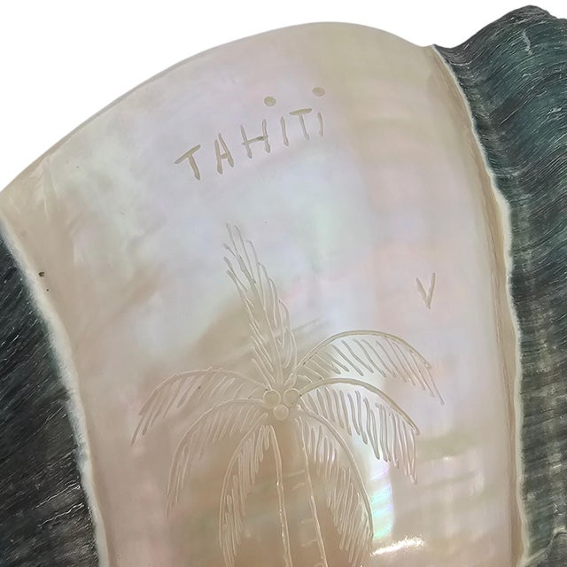1970s Tahitian Turbo Marmoratus Mother-of-Pearl Shell Mood Lamp For Sale - Image 16 of 16