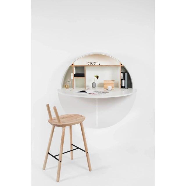 The Multifunctional Pill is a very effective treatment for clutter and messy environments. The Pill is a round cabinet...