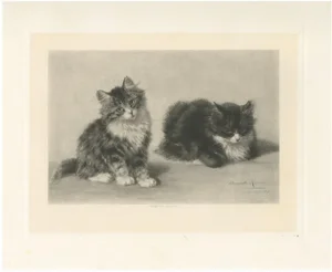 Henriette Ronner, Pair of Kittens, 1894, Print