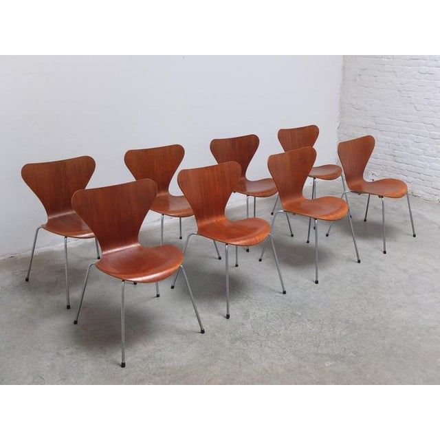 Series 7 Chairs in Teak by Arne Jacobsen for Fritz Hansen, 1955, Set of 8 For Sale - Image 5 of 17