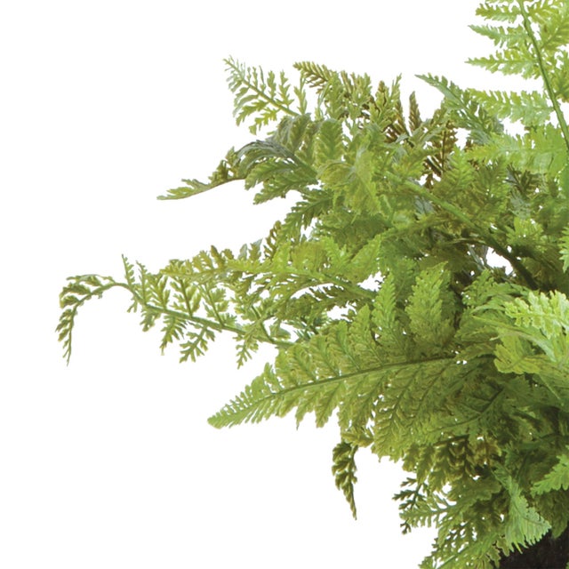 Contemporary Soft Fern Drop-In 10.5" For Sale - Image 3 of 4