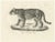 Jaguar, 1836, Lithograph For Sale