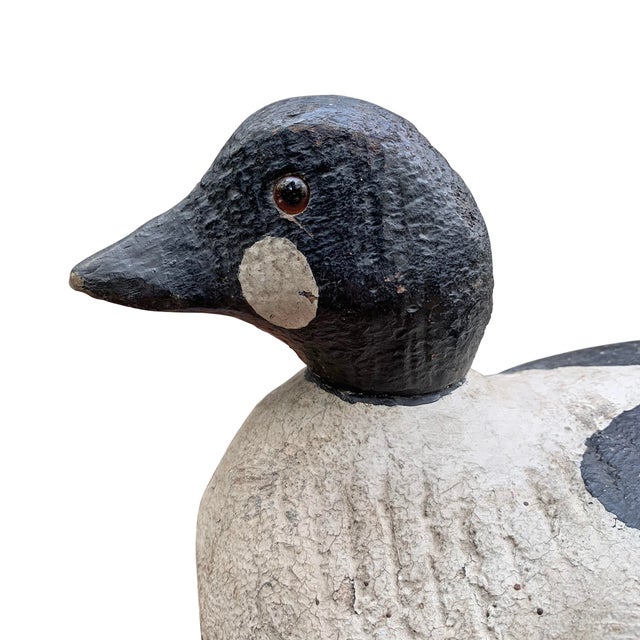 Pair of Goldeneye Duck Decoys Chairish