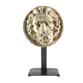 Belgian Terracotta Lion-Shaped Head Sculpture For Sale