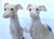 Vintage Maitland-Smith Hand-Painted Porcelain Whippet Figurines - A Pair For Sale - Image 16 of 18