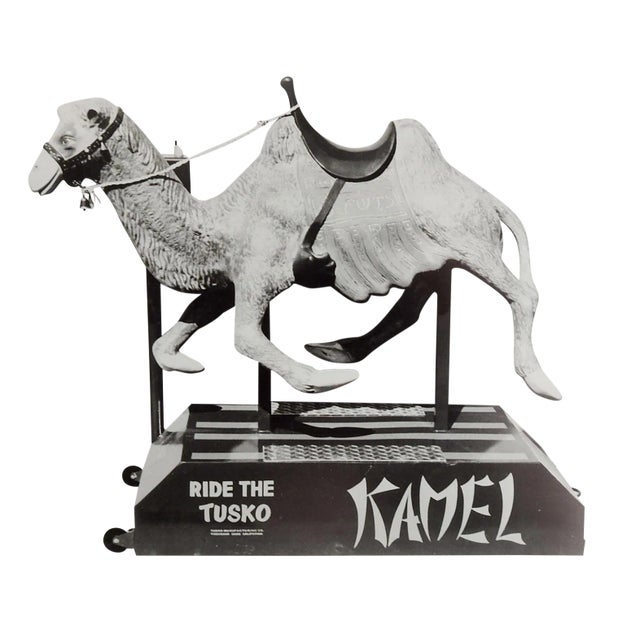 Tusko Mfg. camel mechanical coin operated, kiddie ride original black and white photograph.