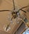 Gold Mid Century Crystal Chandelier FIVE-Light Hollywood Regency Style For Sale - Image 8 of 14
