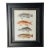 Vintage Zoological Fish Chromolithograph Framed For Sale