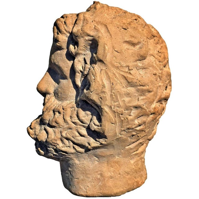 Small Terracotta Head of Zeus, 1900 For Sale - Image 4 of 6