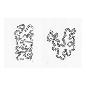 Pair of William Glen Davis Abstract Drawings