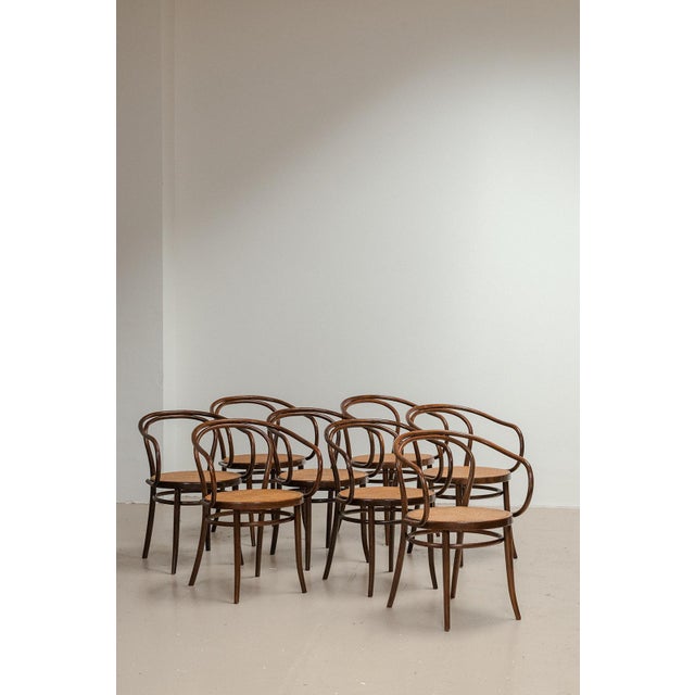 Model 209 Dining Chairs from Thonet, 1960s, Set of 6 For Sale - Image 13 of 13