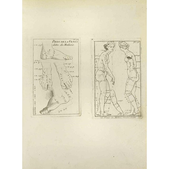 Jean François Poletnich, Venus, Etching, 18th Century For Sale