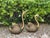 Mid-Century Modern Mid Century Jumbo Brass Swan Sculptural Planters - a Pair For Sale - Image 3 of 12
