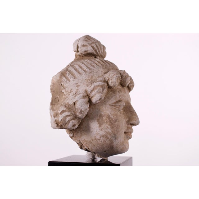 Gandhara Artist, Head of Bodhisattva, 1800s, Stucco For Sale - Image 3 of 10