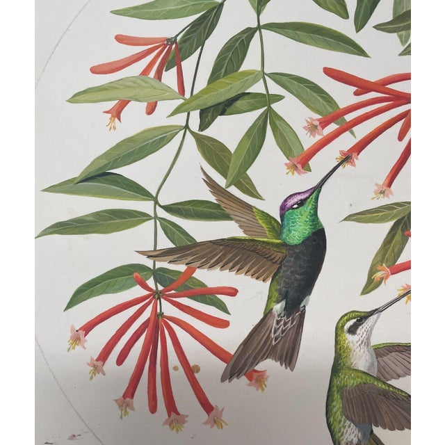 Original Arthur Singer 'rivoli Hummingbird' Painting for